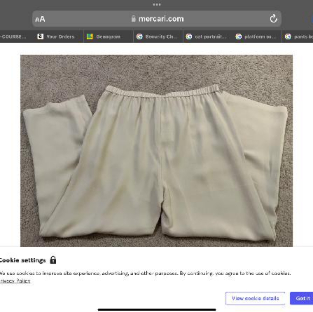 Eileen fisher pants xxs